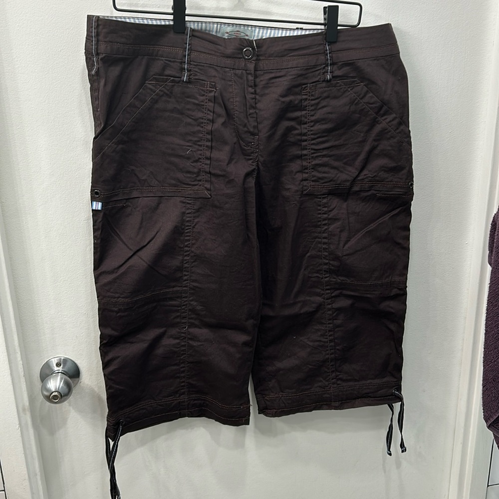 Sitwell from Anthropologie chocolate brown long shorts